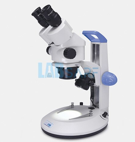 Stereo Mikroskop